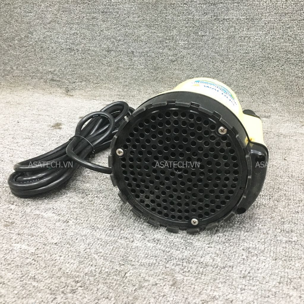 Chi tiết mặt dưỡi bơm chìm Walrus PC 100A